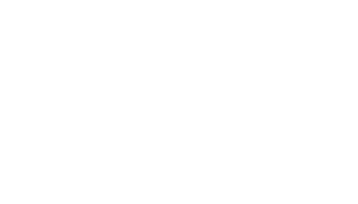 client-dentsu-aegis-network2